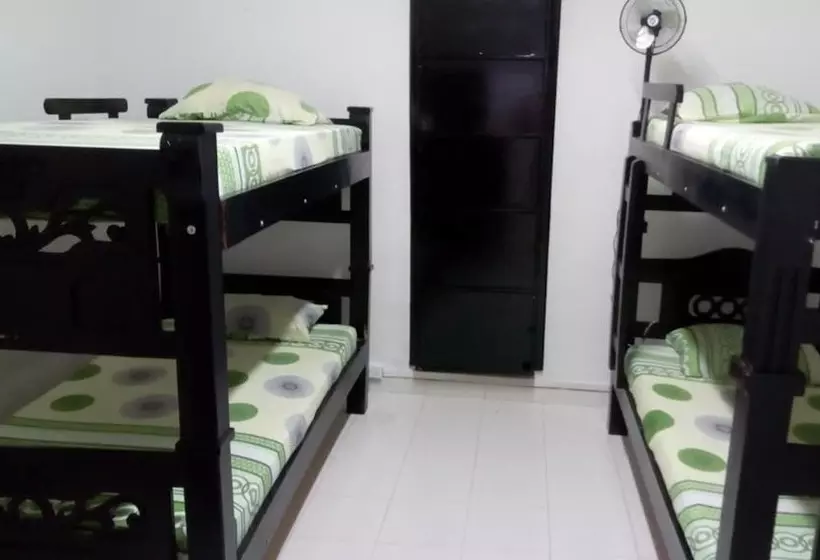 Caribbean Hostel