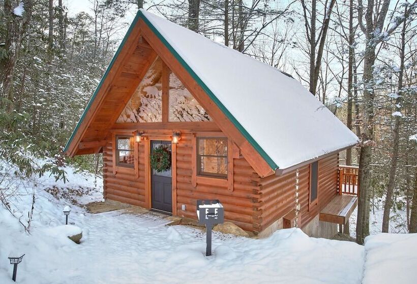 Foolin Around Apartment 1