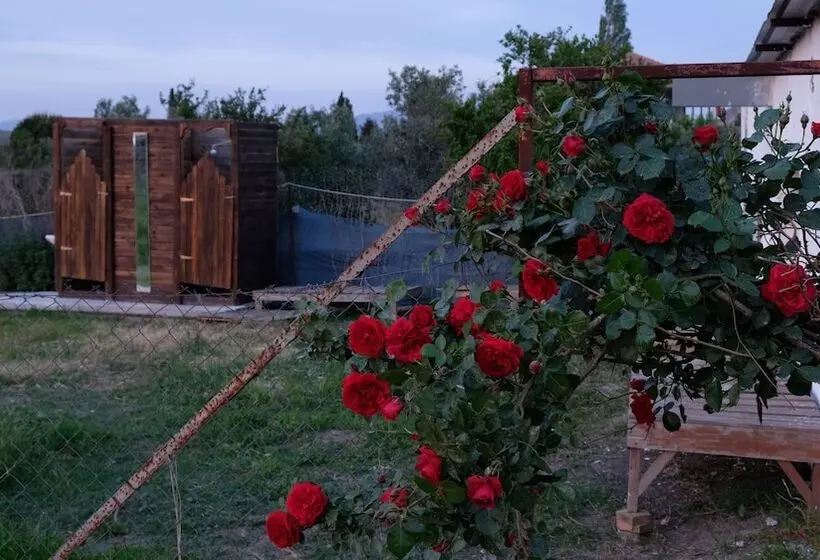 ホテル Teos Sanat Kampi