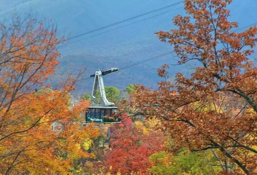 Indoor Pool Beauty Apartment 5