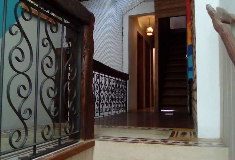 פנסיון Casa Mameluco