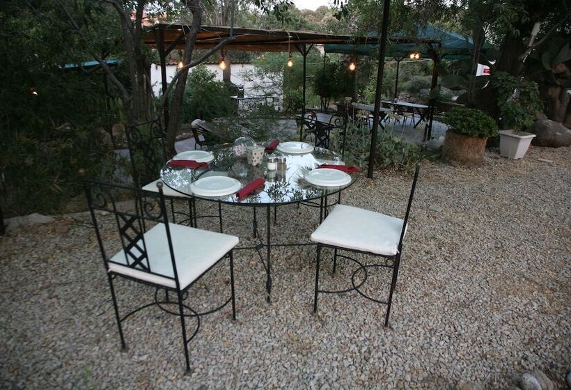 פנסיון Cici's Pansion