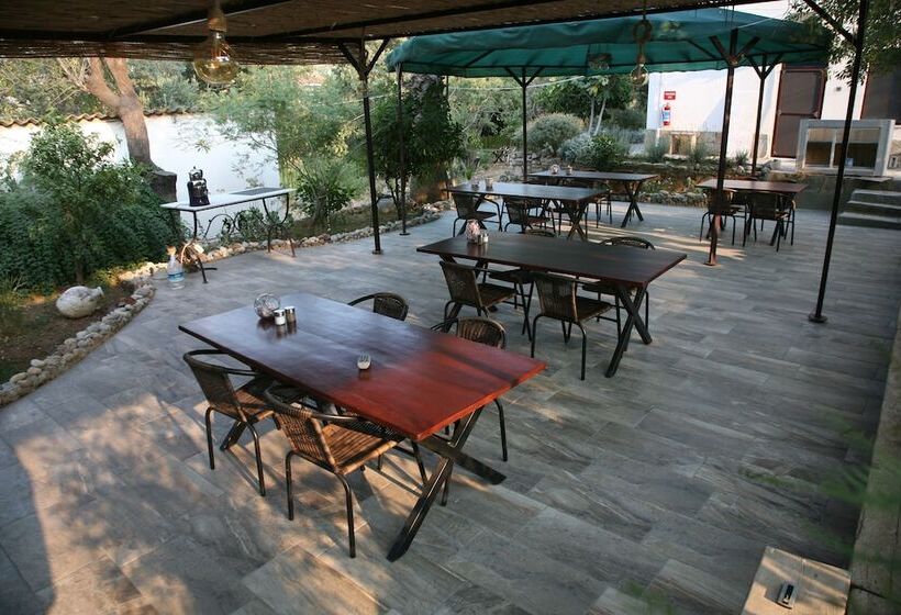 פנסיון Cici's Pansion