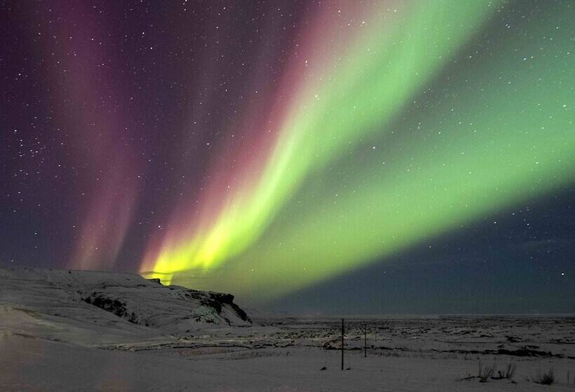 پانسیون Dalshöfði Guesthouse