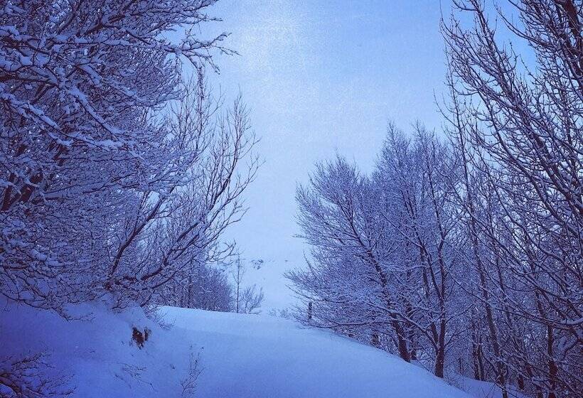 پانسیون Dalshöfði Guesthouse