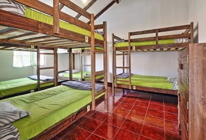 The Celtic Cross   Hostel