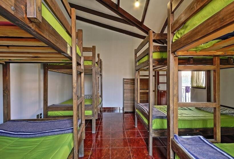 The Celtic Cross Hostel