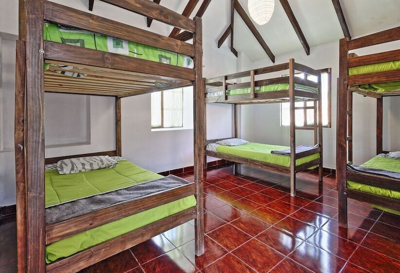 The Celtic Cross Hostel