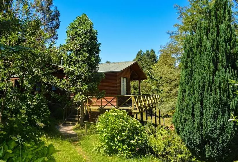 Traumaco Lodge