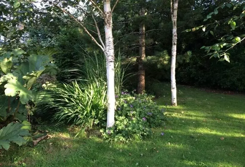 Hope Cottage