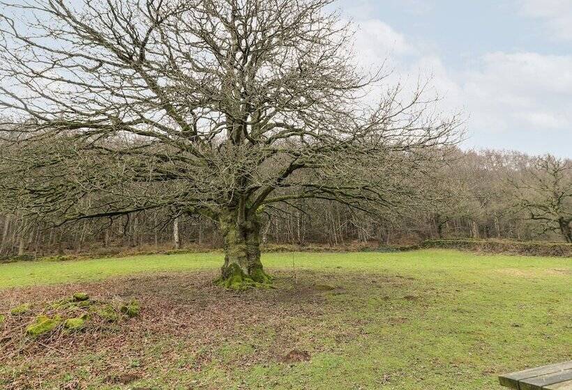 Oak Tree Cottage