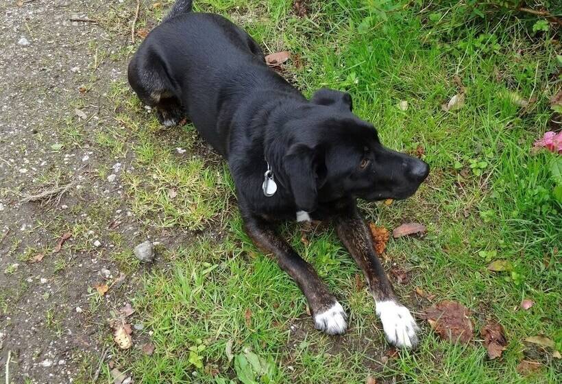 The Old Engine House