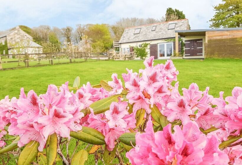 Higher Kernick Stable