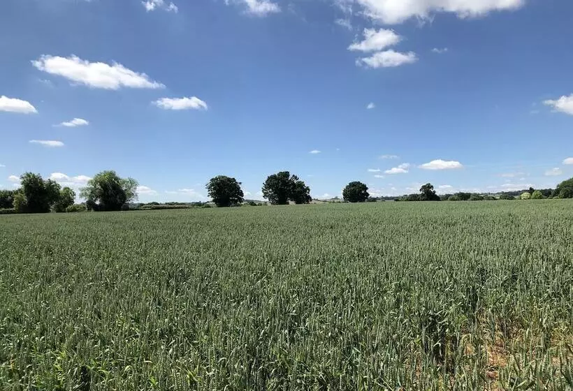 Hook Norton Barn