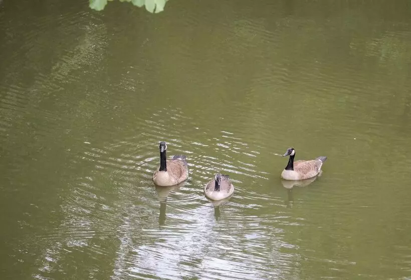 Miswells Cottages   Lake View