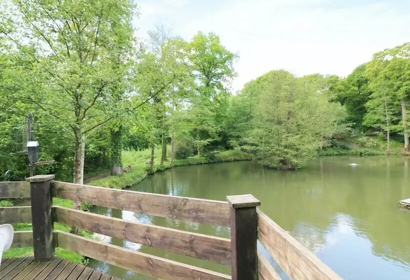 Miswells Cottages   Lake View