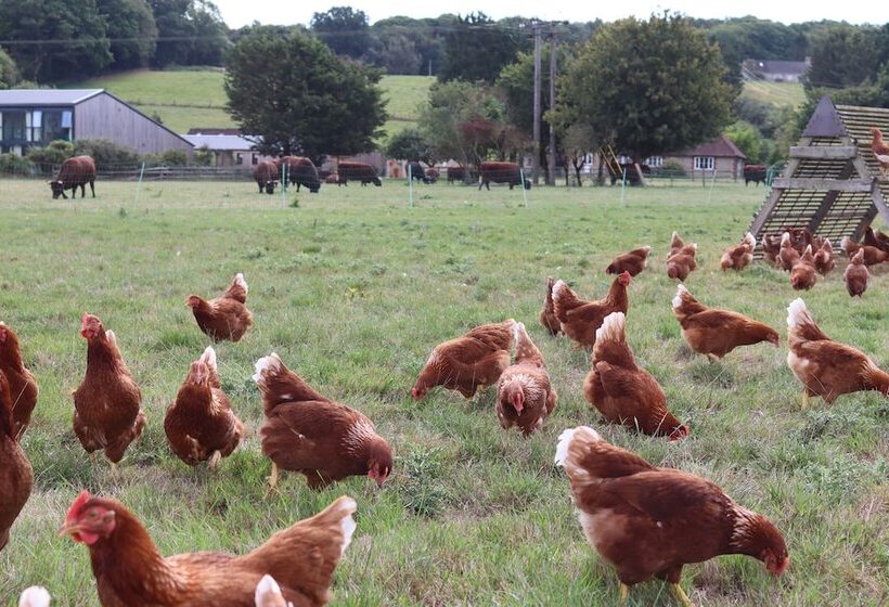 Oxen Cottage @ Nables Farm