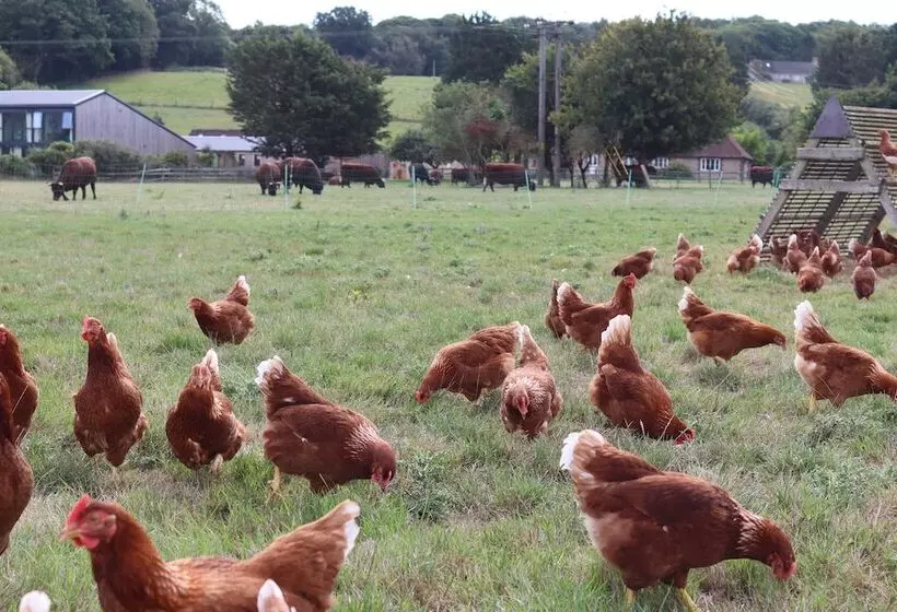 Oxen Cottage @ Nables Farm