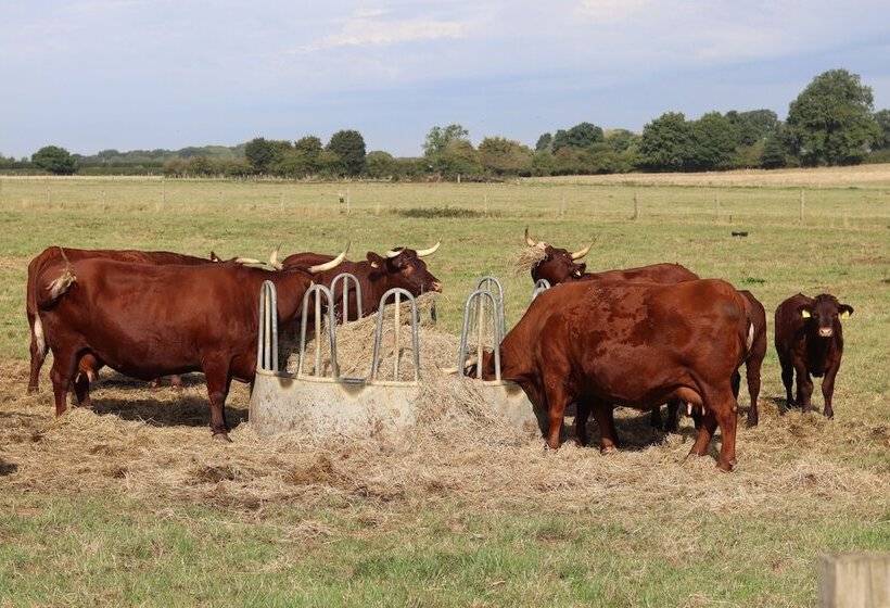 Oxen Cottage @ Nables Farm