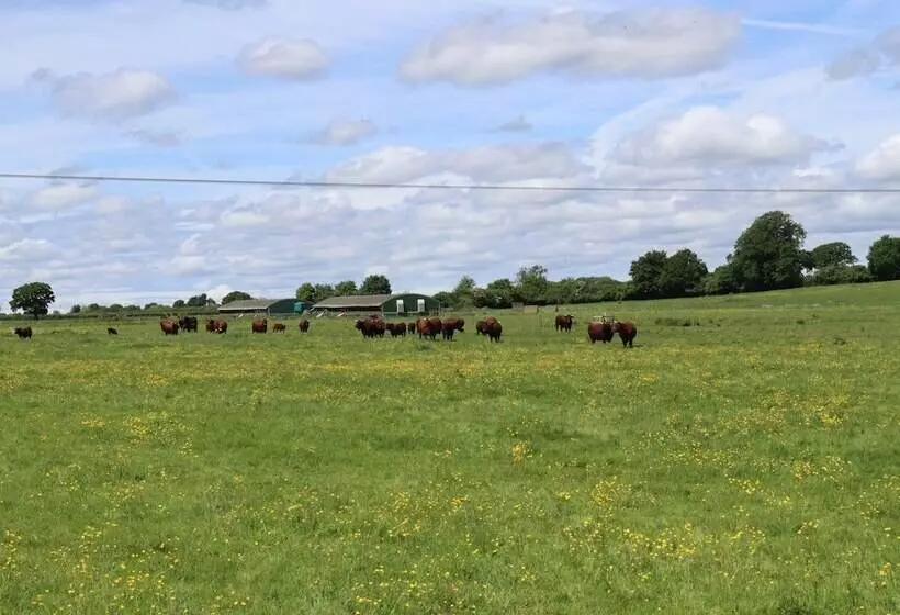 Oxen Cottage @ Nables Farm