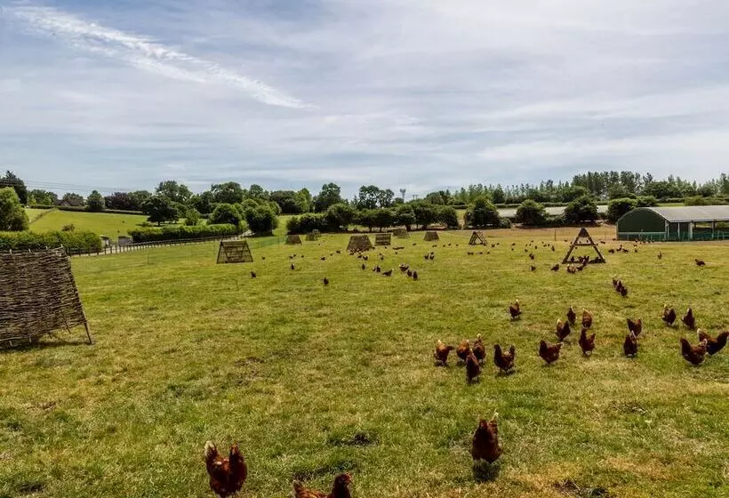 Oxen Cottage @ Nables Farm