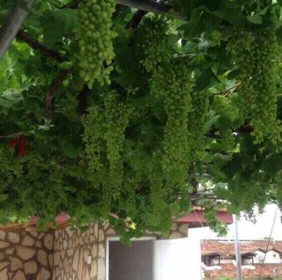 Hostel Kristal Pansiyon