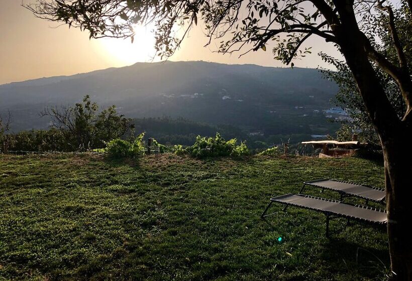 تختخواب و صبحانه Far Out Oasis