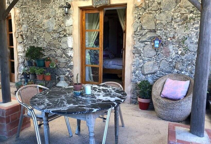 تختخواب و صبحانه Far Out Oasis