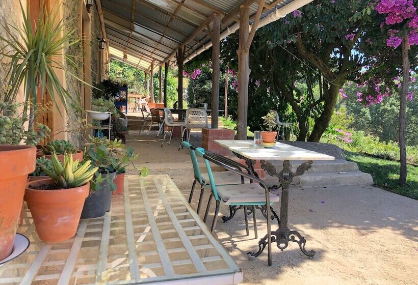 تختخواب و صبحانه Far Out Oasis