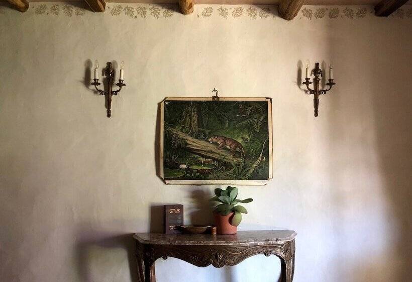 تختخواب و صبحانه Far Out Oasis