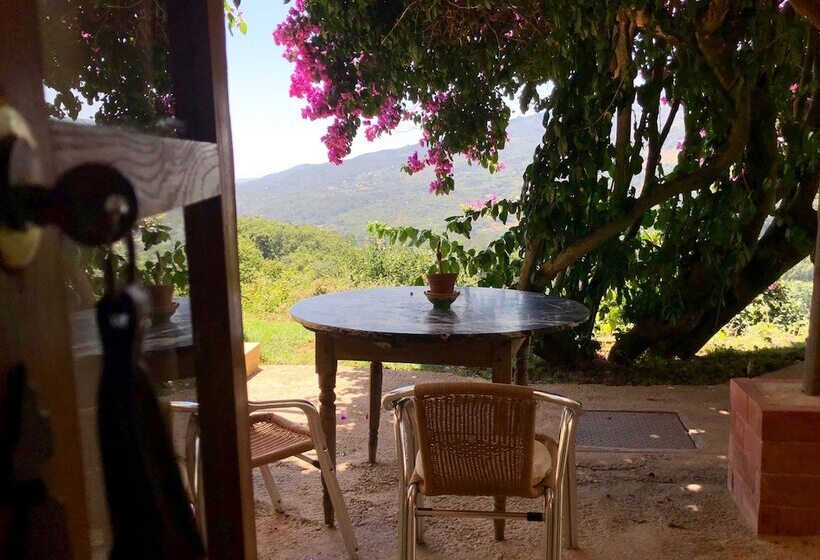 تختخواب و صبحانه Far Out Oasis