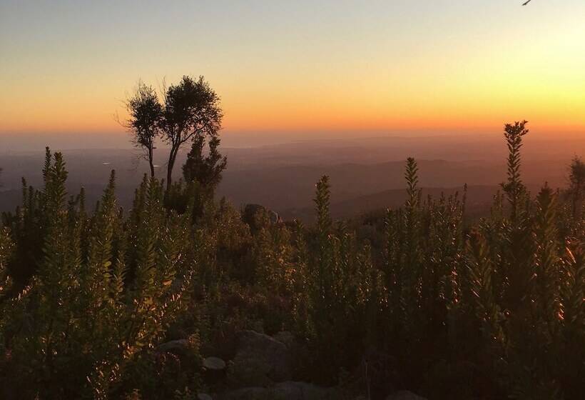 تختخواب و صبحانه Far Out Oasis