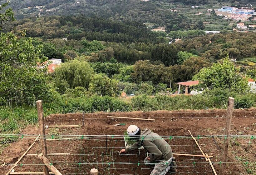 تختخواب و صبحانه Far Out Oasis