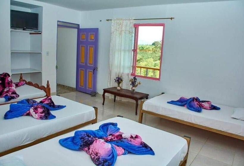 تختخواب و صبحانه Finca Tradicional La Colonia