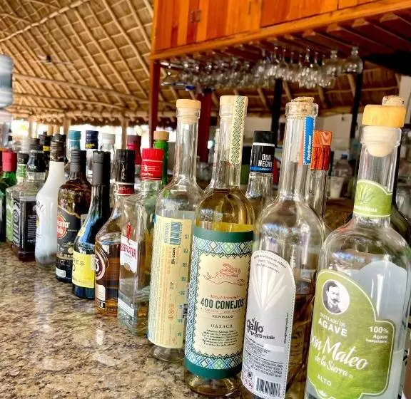 ホテル Searena San Pancho