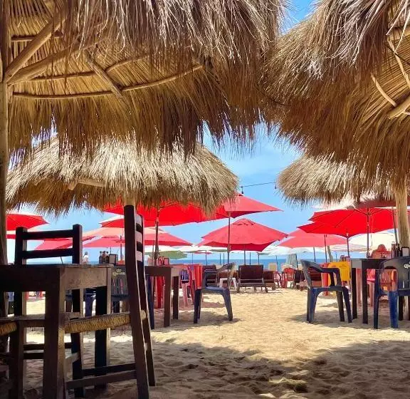 ホテル Searena San Pancho