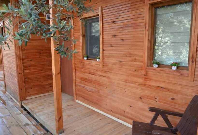 בית מלון כפרי Bungolive