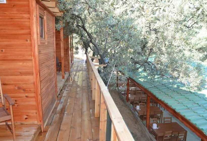 בית מלון כפרי Bungolive