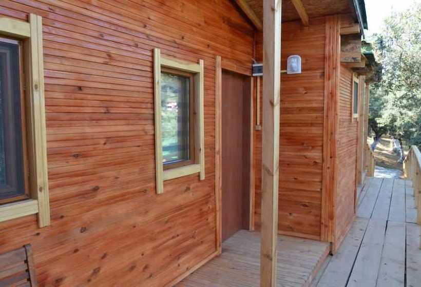 בית מלון כפרי Bungolive