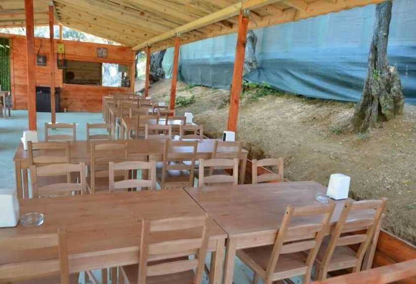 בית מלון כפרי Bungolive