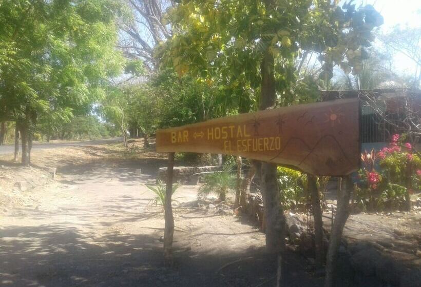 هتل Hostel El Esfuerzo