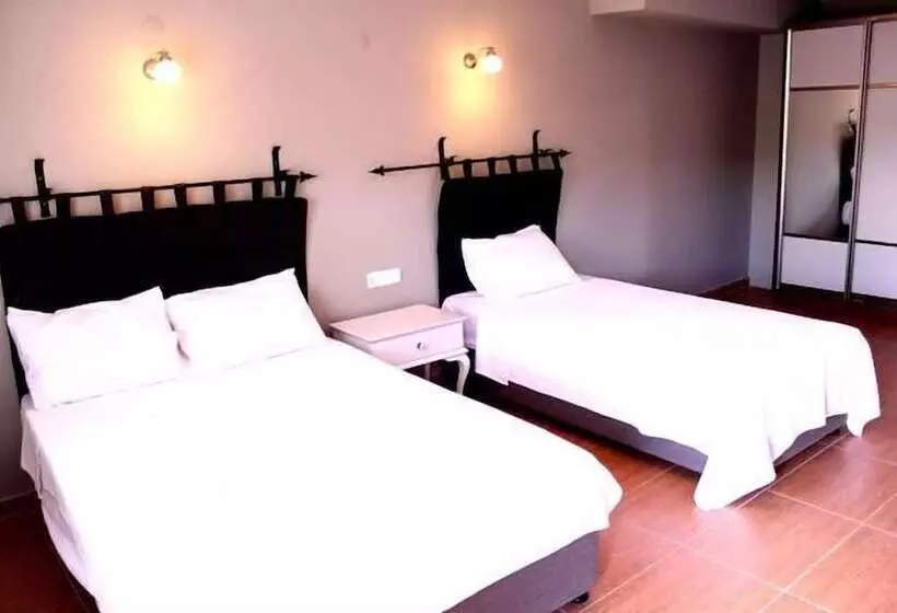 ホテル Nemrut Kervansaray