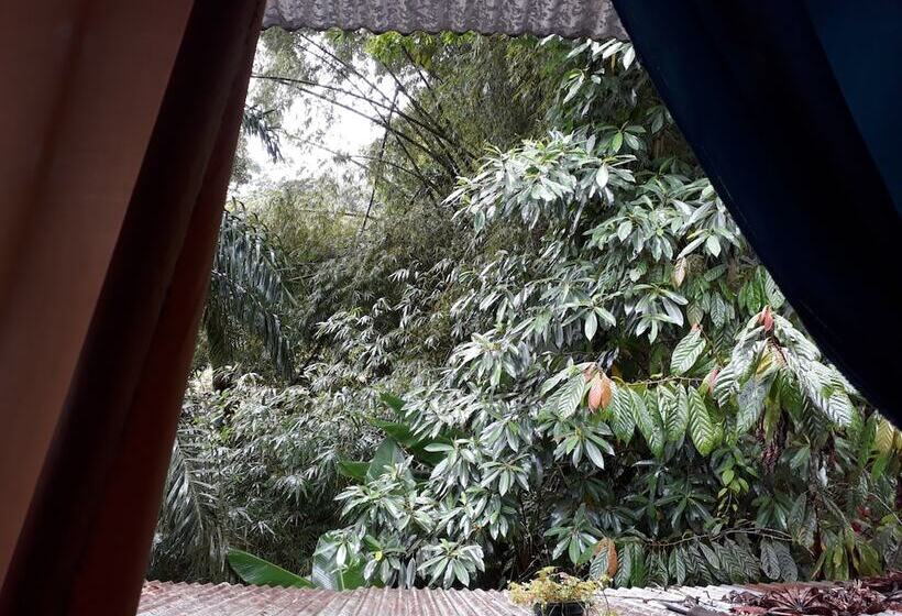 בית מלון כפרי Posada Nena Caribe