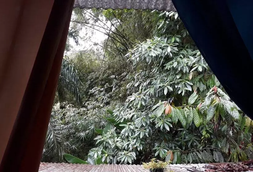 ホテル Posada Nena Caribe