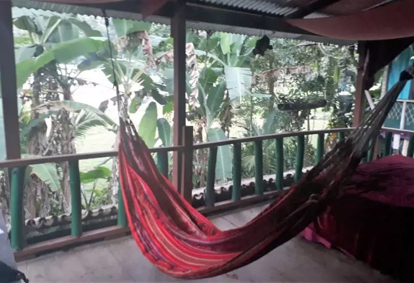 ホテル Posada Nena Caribe