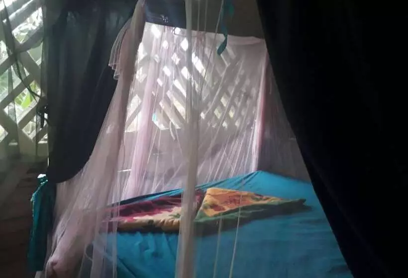ホテル Posada Nena Caribe