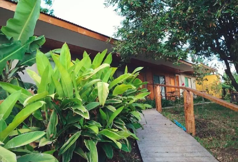 Mangai Rapa Nui   Hostel
