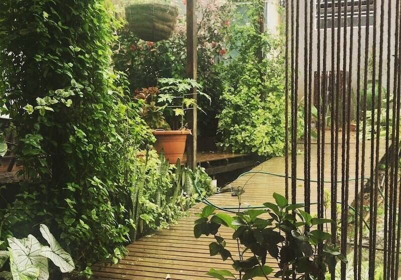 پانسیون Aloha Suites