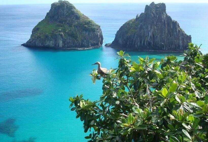 پانسیون Aloha Suites