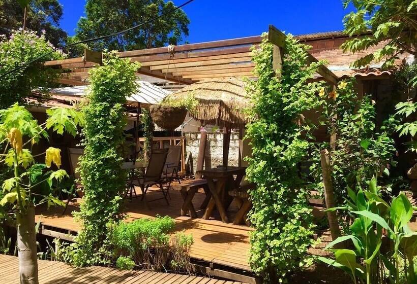 پانسیون Aloha Suites